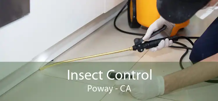 Insect Control Poway - CA