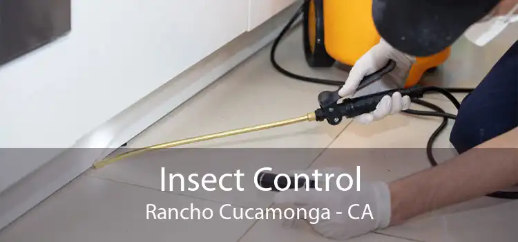 Insect Control Rancho Cucamonga - CA