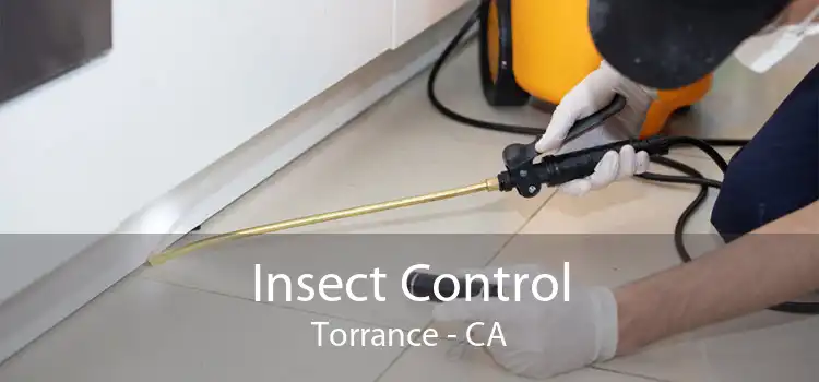 Insect Control Torrance - CA