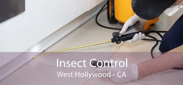 Insect Control West Hollywood - CA