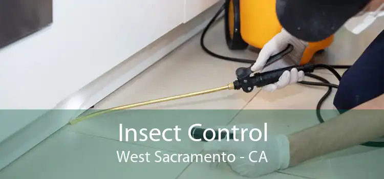 Insect Control West Sacramento - CA