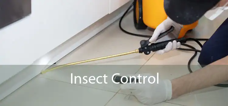 Insect Control 