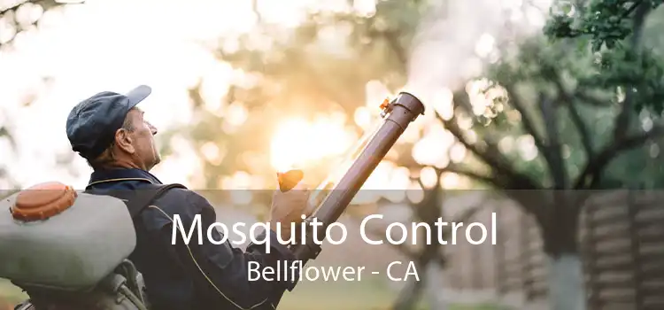 Mosquito Control Bellflower - CA