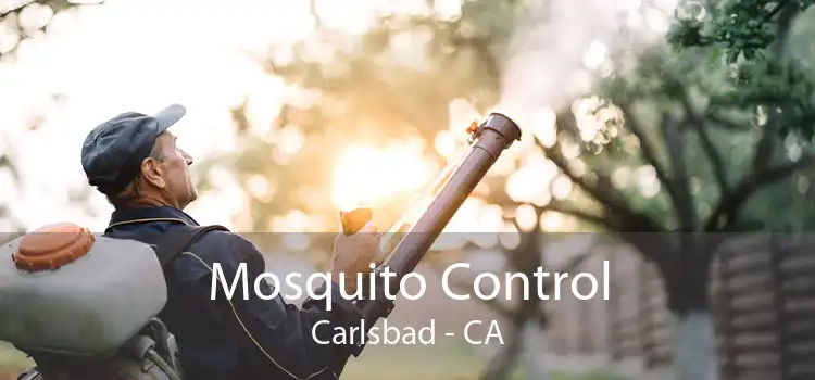 Mosquito Control Carlsbad - CA