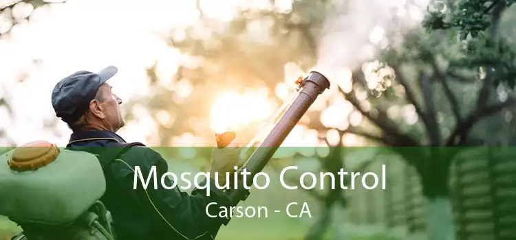 Mosquito Control Carson - CA