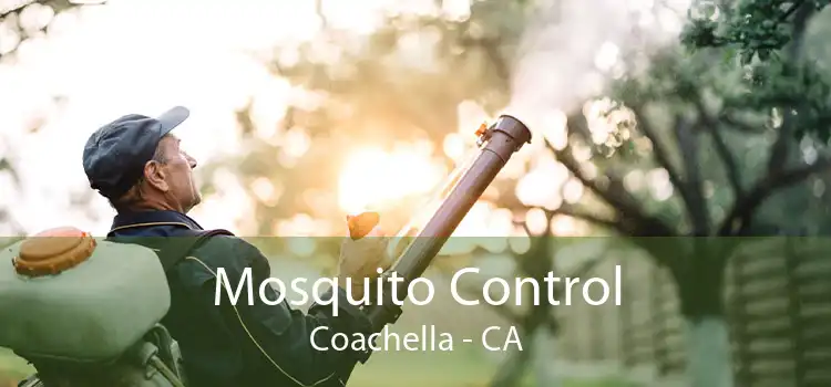Mosquito Control Coachella - CA