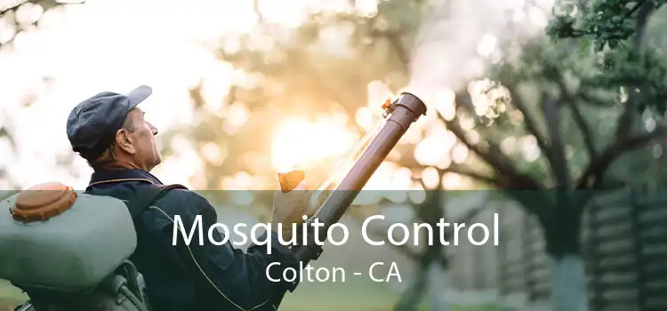 Mosquito Control Colton - CA