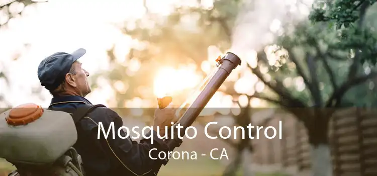Mosquito Control Corona - CA