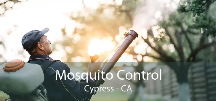 Mosquito Control Cypress - CA