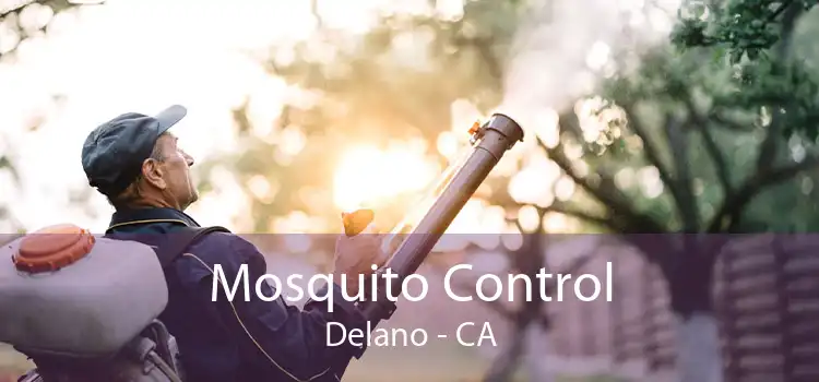 Mosquito Control Delano - CA