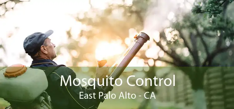 Mosquito Control East Palo Alto - CA