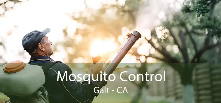 Mosquito Control Galt - CA
