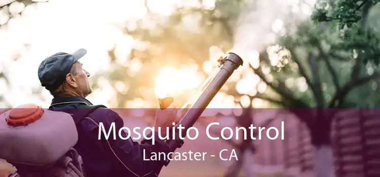 Mosquito Control Lancaster - CA