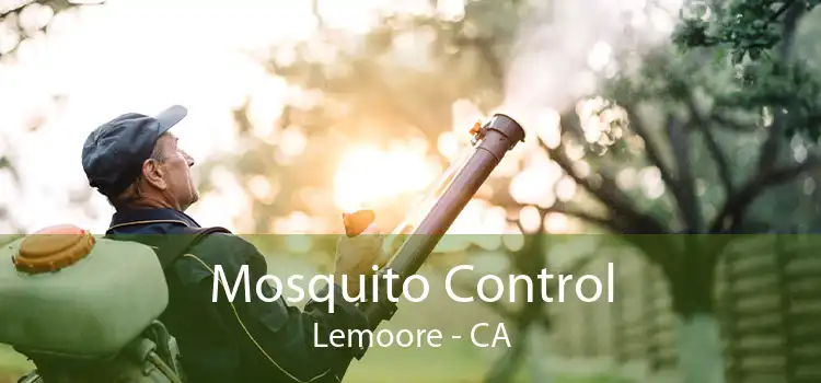 Mosquito Control Lemoore - CA