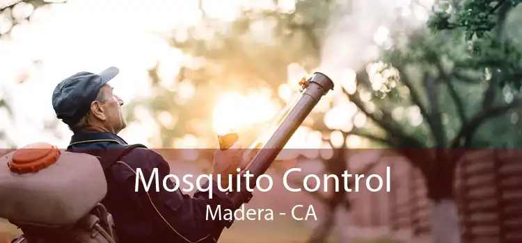 Mosquito Control Madera - CA