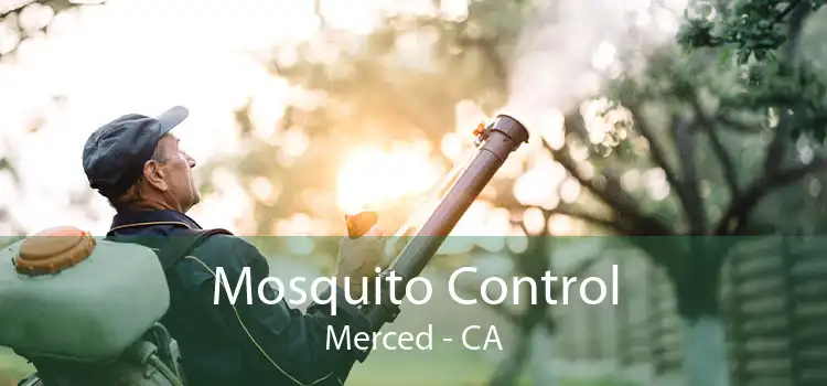 Mosquito Control Merced - CA