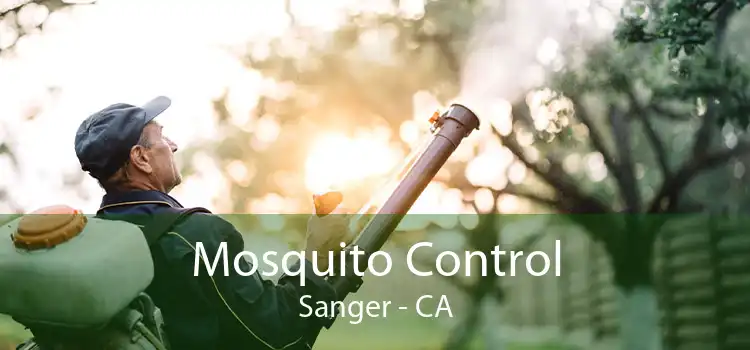 Mosquito Control Sanger - CA