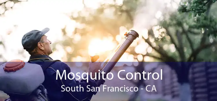 Mosquito Control South San Francisco - CA