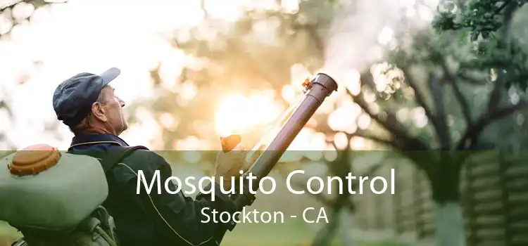 Mosquito Control Stockton - CA