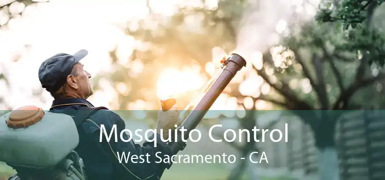Mosquito Control West Sacramento - CA