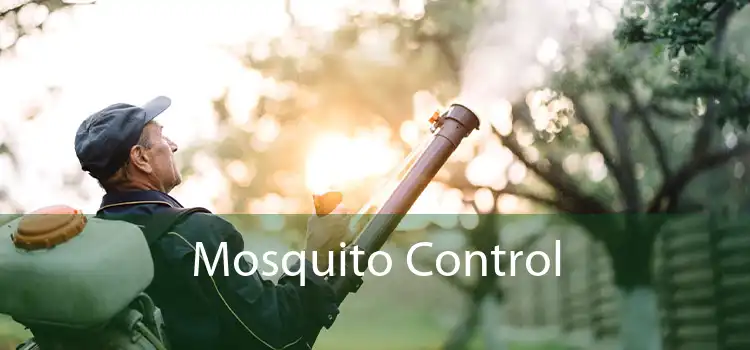 Mosquito Control 