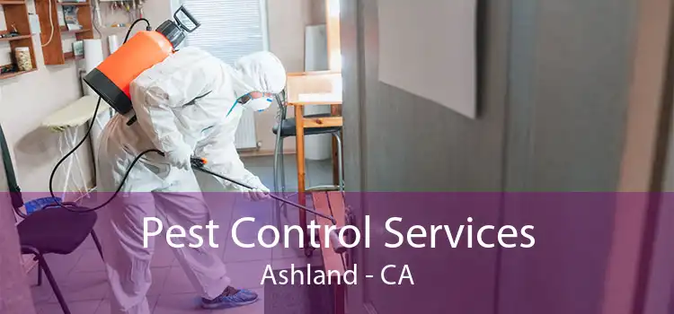 Pest Control Services Ashland - CA