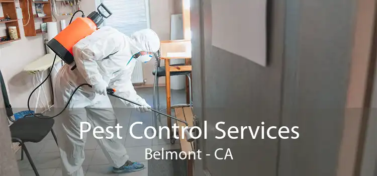 Pest Control Services Belmont - CA
