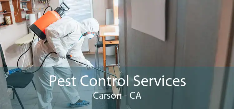 Pest Control Services Carson - CA