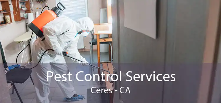 Pest Control Services Ceres - CA