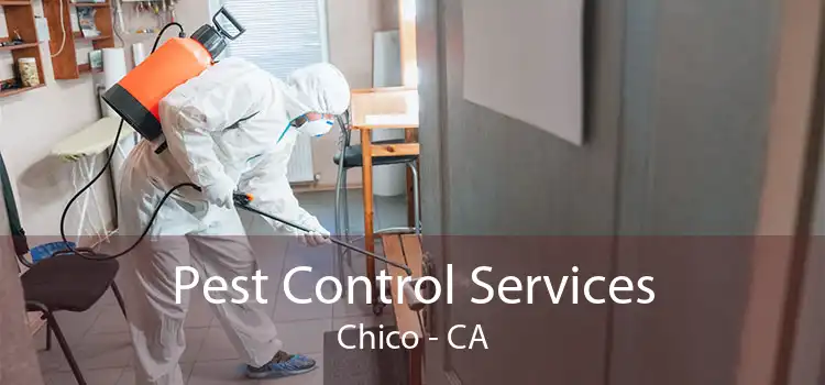 Pest Control Services Chico - CA