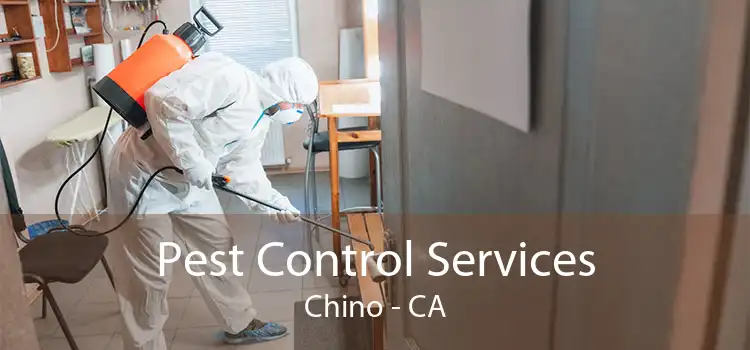 Pest Control Services Chino - CA