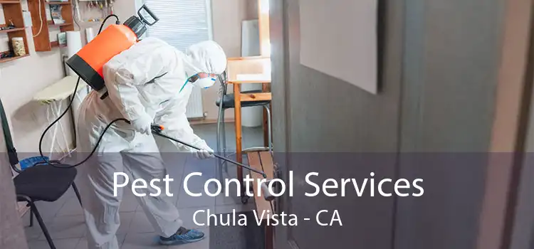 Pest Control Services Chula Vista - CA