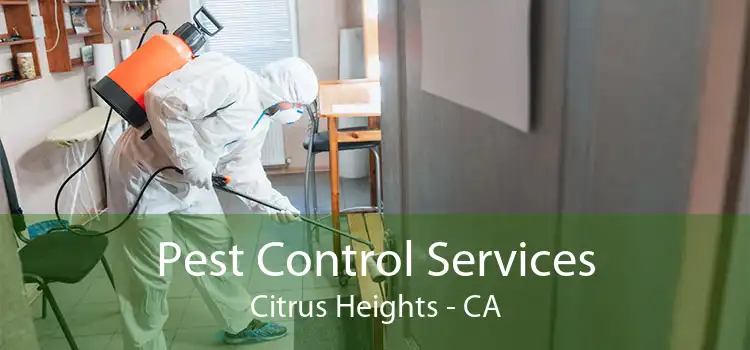 Pest Control Services Citrus Heights - CA