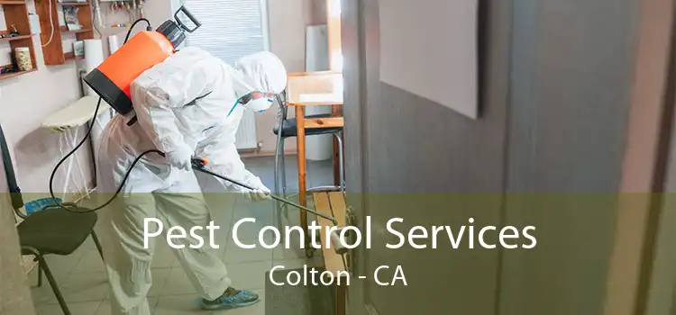 Pest Control Services Colton - CA