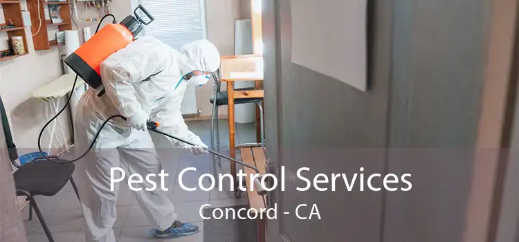Pest Control Services Concord - CA