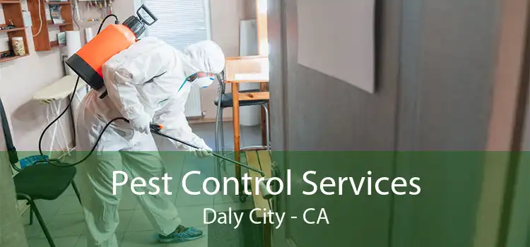 Pest Control Services Daly City - CA
