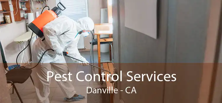 Pest Control Services Danville - CA