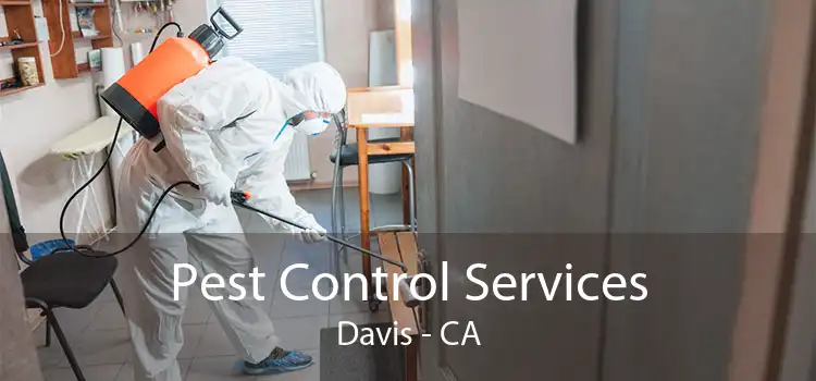 Pest Control Services Davis - CA