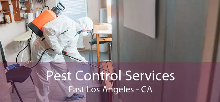 Pest Control Services East Los Angeles - CA