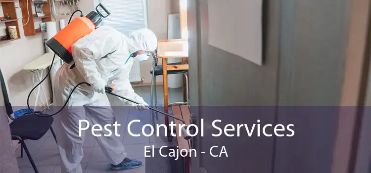 Pest Control Services El Cajon - CA