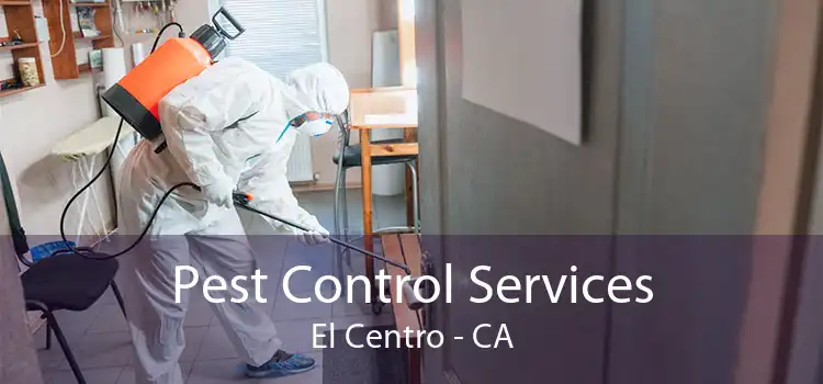 Pest Control Services El Centro - CA