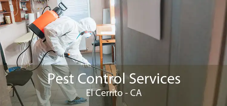Pest Control Services El Cerrito - CA