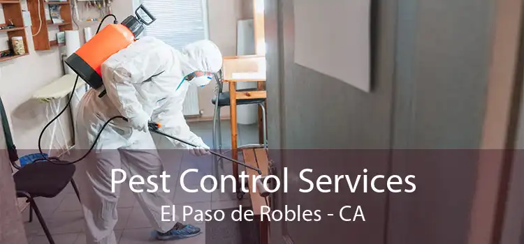 Pest Control Services El Paso de Robles - CA