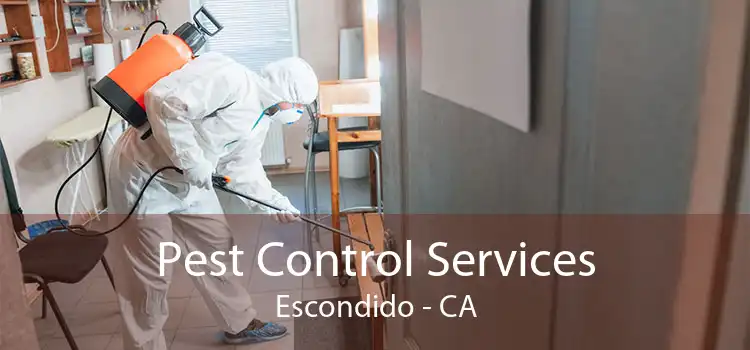 Pest Control Services Escondido - CA