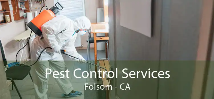 Pest Control Services Folsom - CA