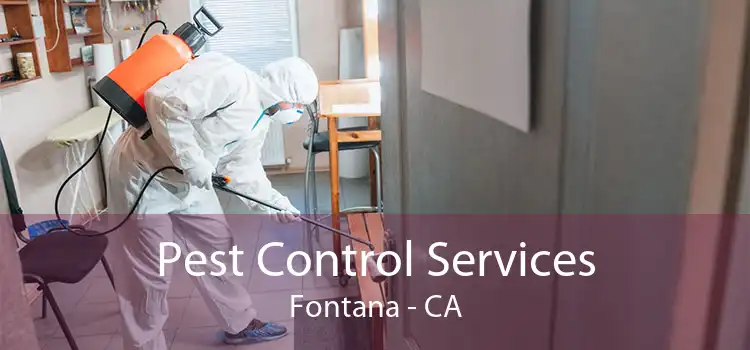 Pest Control Services Fontana - CA