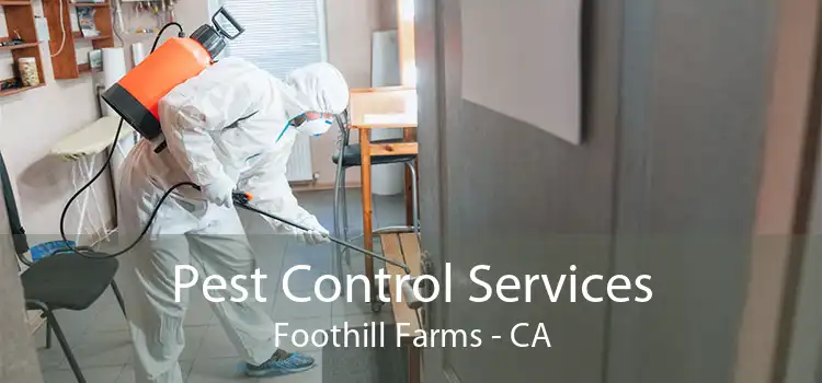 Pest Control Services Foothill Farms - CA