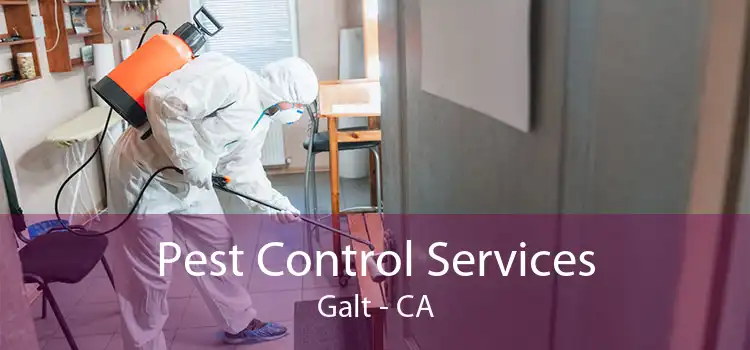 Pest Control Services Galt - CA