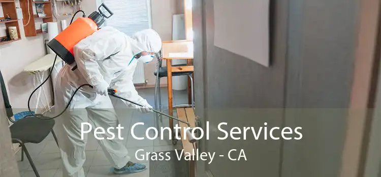 Pest Control Services Grass Valley - CA