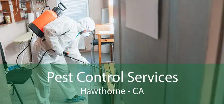 Pest Control Services Hawthorne - CA